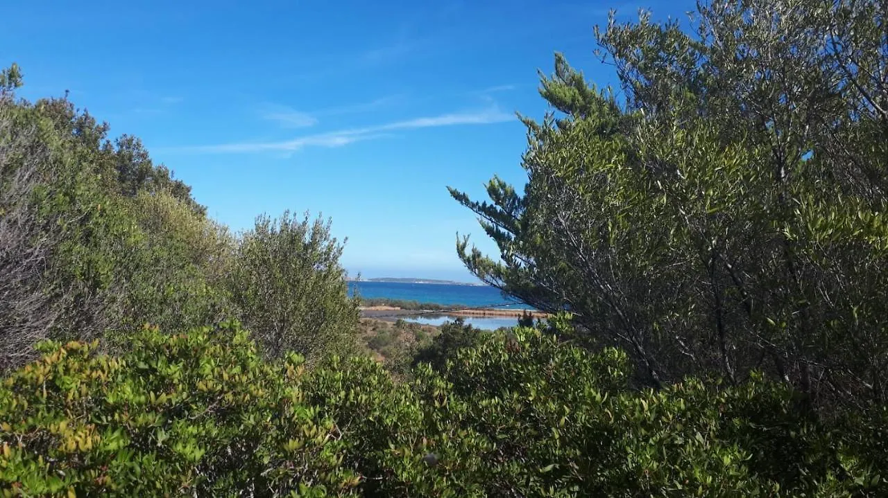 A Due Passi Dal Mare Daire Cannigione